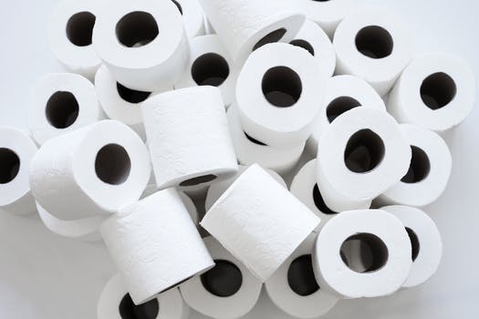 Toilet Paper Facts